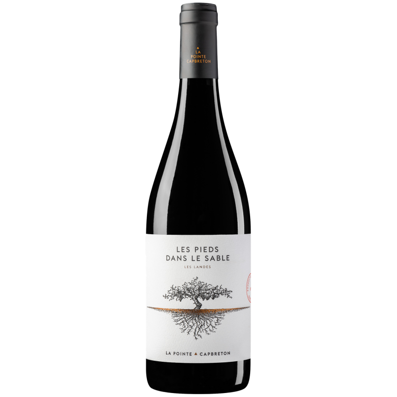 Vin rouge, Les pieds dans le sable, La pointe Capbreton