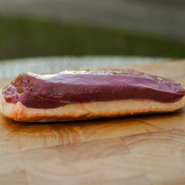 Magret de canard