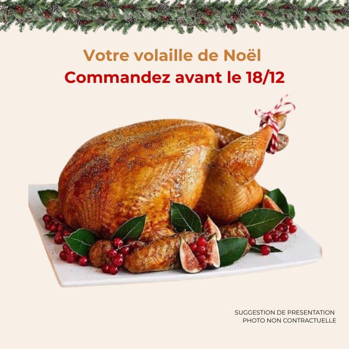Volaille de Noël, oie farcie au foie de canard, entière, chapon farci au foie de canard, entier, dinde farci au foie de canard, entière